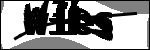 متن برای شناسایی