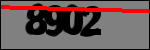 متن برای شناسایی